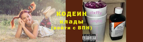 твердый Карпинск