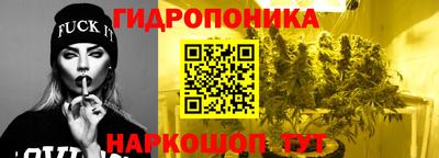прущие крисы Анжеро-Судженск
