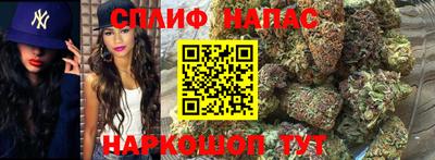 Альфа ПВП Анапа