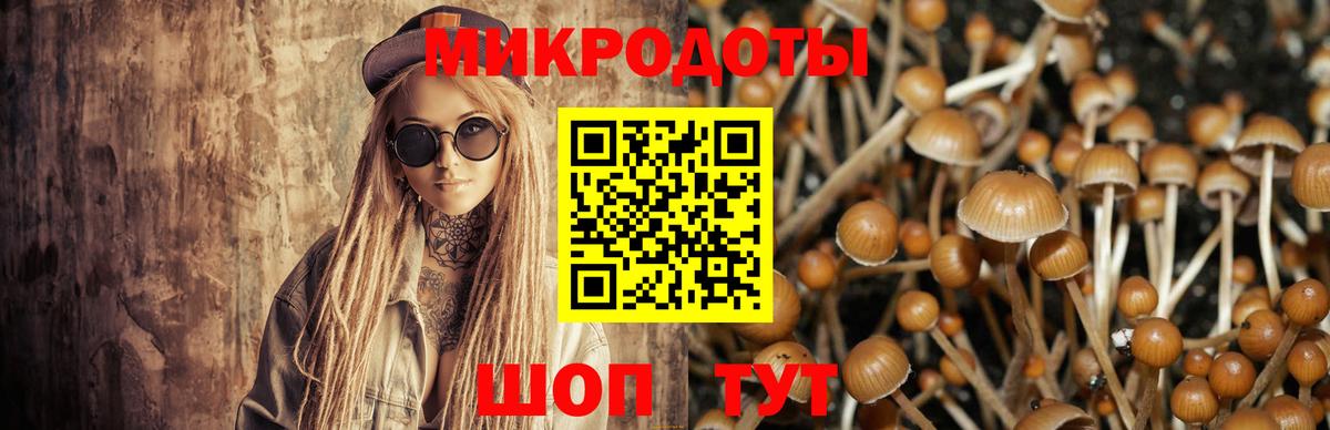 Псилоцибиновые грибы Cubensis Липецк